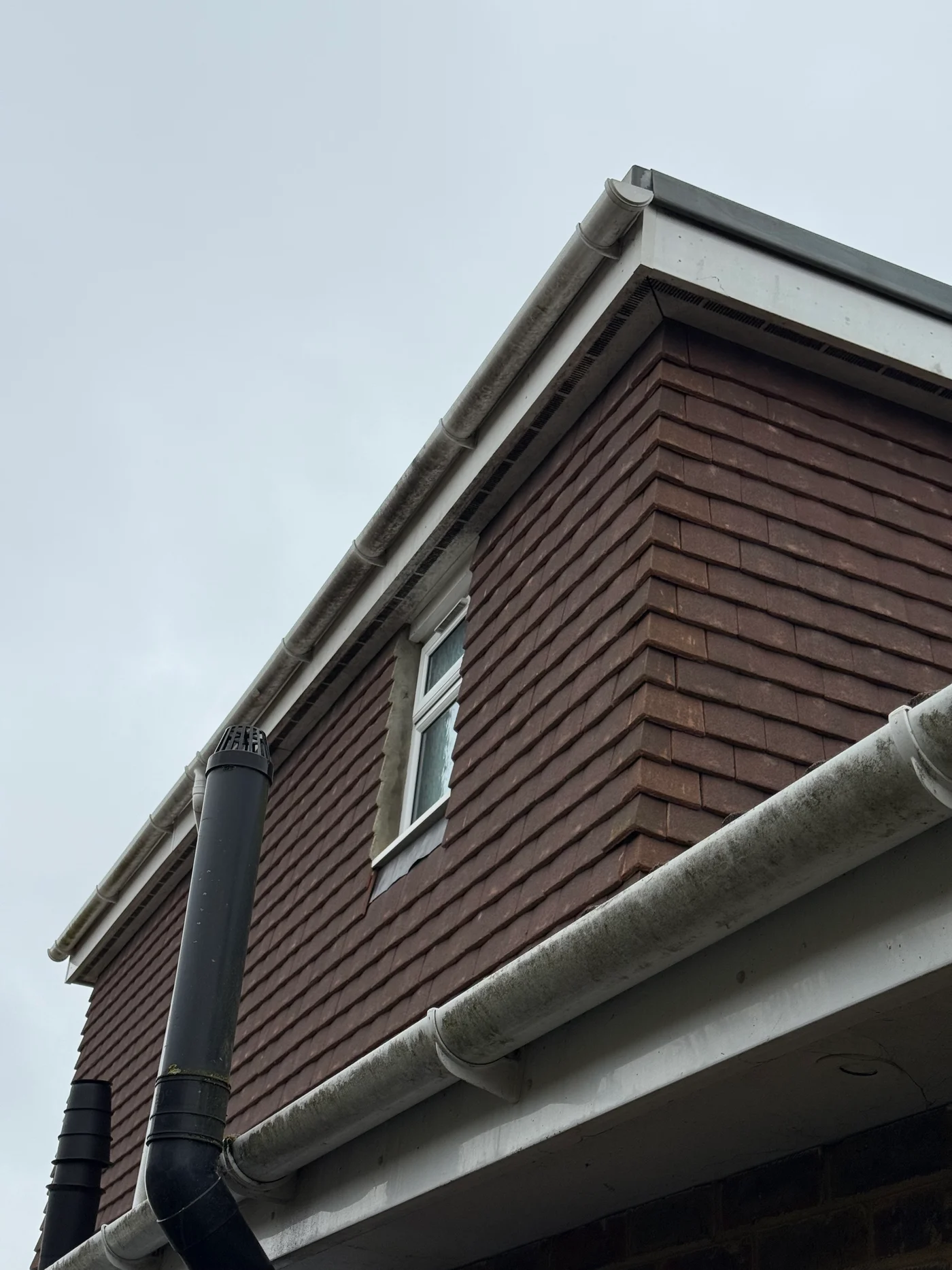 Close-up of a fascia, soffit and gutter corner covered in algae and grime before cleaning